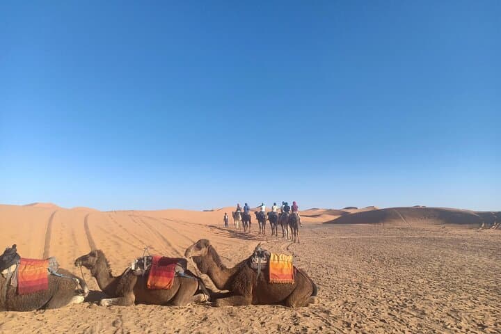 4-Day Marrakech to Merzouga Sahara Tour: Ait Ben Haddou, Todra Gorges & Erg Chebbi photo 5