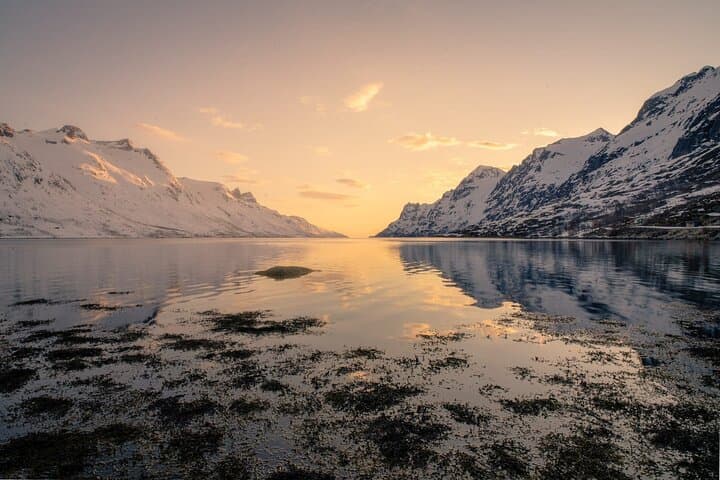 Discover the Fjords of Kvaloya: Scenic Roadtrip to Fishing Villages & Arctic Wildlife