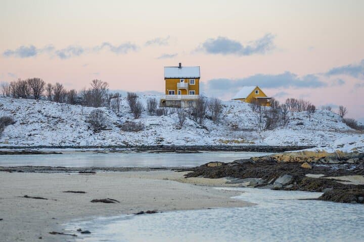 Discover the Fjords of Kvaloya: Scenic Roadtrip to Fishing Villages & Arctic Wildlife photo 5