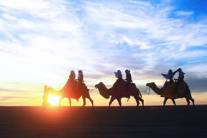 Sunset Camel & ATV Combo in Los Cabos: Beach Rides, Desert Tracks, and Dinner photo 3