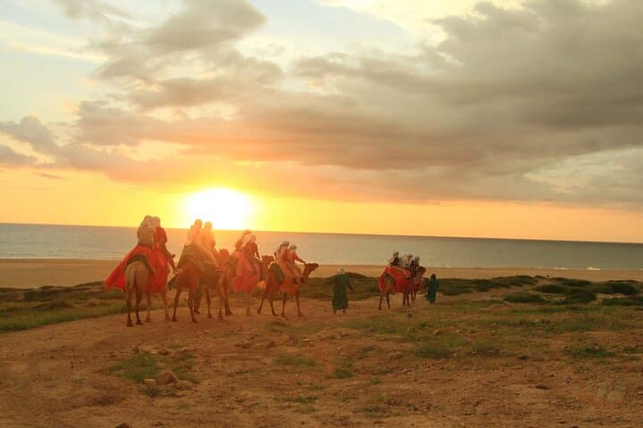 Sunset Camel & ATV Combo in Los Cabos: Beach Rides, Desert Tracks, and Dinner photo 4