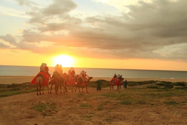 ATV & Camel Combo: Off‑Road Adventure and Beach Ride in Los Cabos photo 5