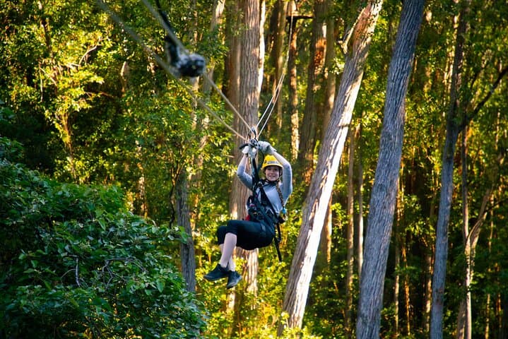 Big Island Kohala Canopy Zipline Adventure: Soar Above Hawaii’s North Kohala Forest photo 3