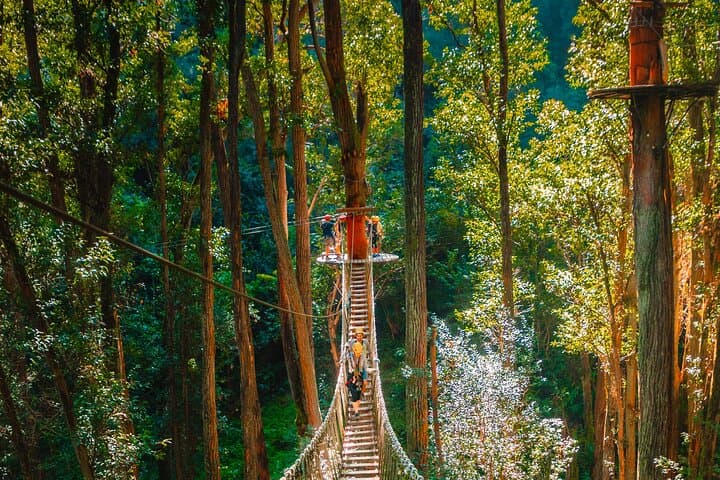 Big Island Kohala Canopy Zipline Adventure: Soar Above Hawaii’s North Kohala Forest photo 5