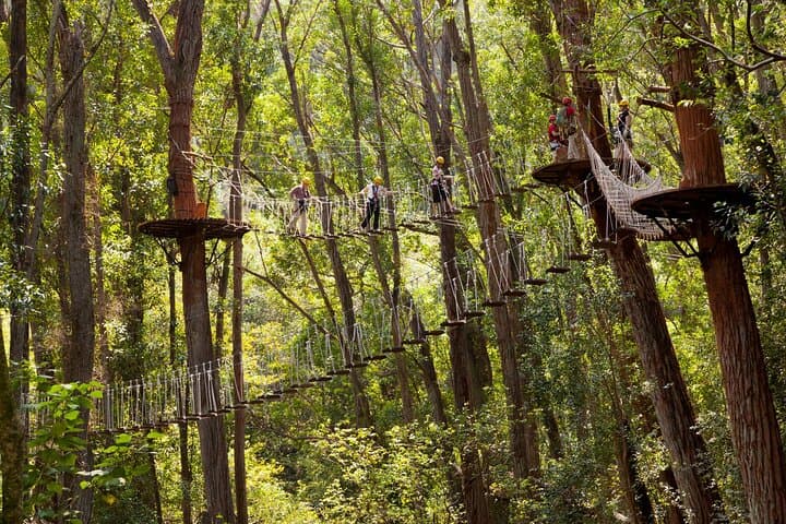 Kohala Zip and Dip Adventure on Hawaii’s Big Island: Zipline, Hike & Waterfall Swim photo 5