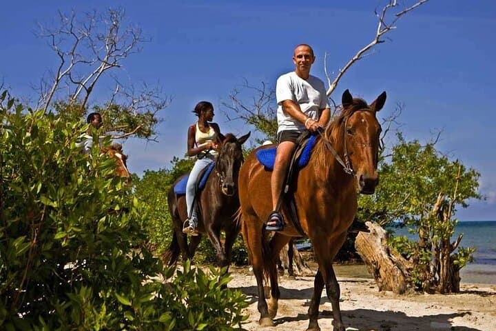 Horseback Ride and Swim from Montego Bay: Private Beach & Countryside Tour photo 2