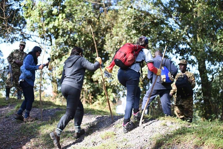 4-Day Bwindi Gorilla Trekking Safari: Mountain Gorillas, Primate Walks & Equator Stop photo 3