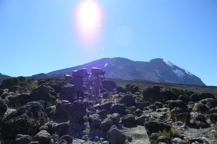 8-Day Lemosho Route Kilimanjaro Climb — Summit Uhuru Peak on a Scenic Route photo 2