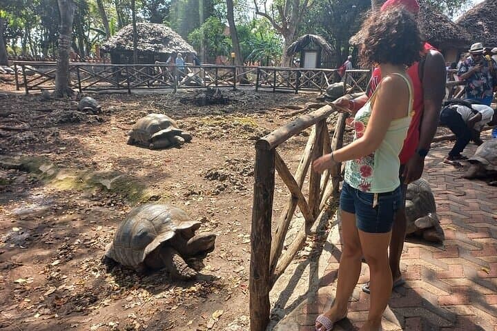 Prison Island, Stone Town & Spice Farm Private Tour — Full-Day Zanzibar Cultural and Coastal Experience photo 2