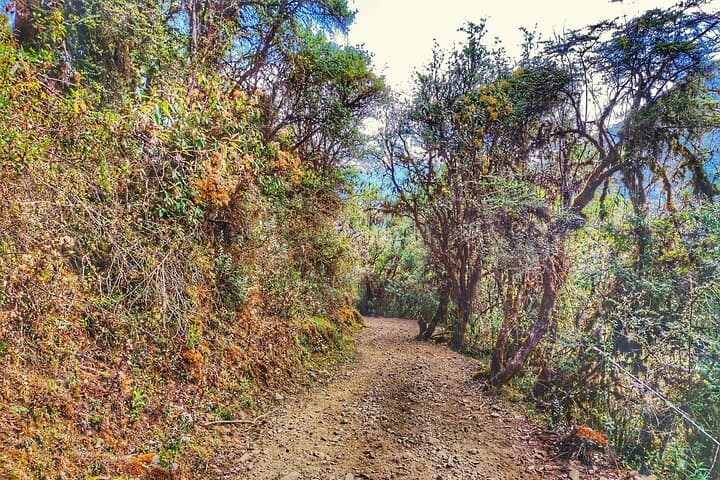 Inca Jungle to Machu Picchu: 4-Day Bike, Trek & Zipline Adventure photo 3