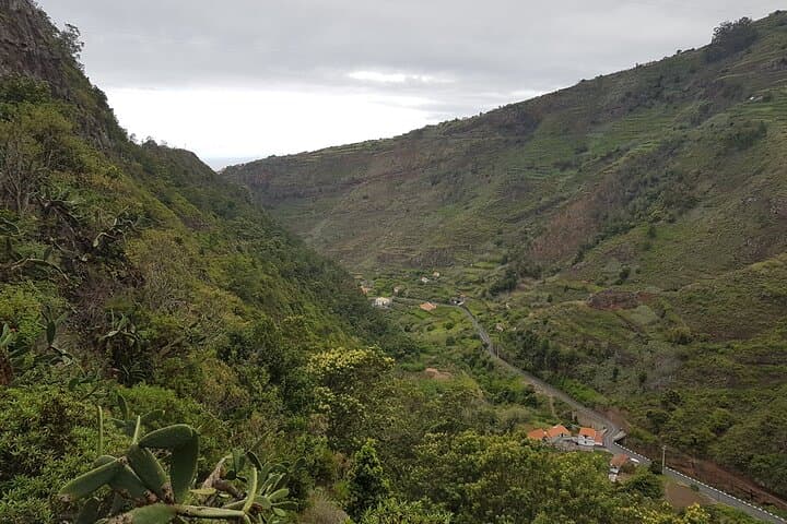 Levada Nova Tabua Half-Day Walk — Guided Levada Hike in Madeira photo 4