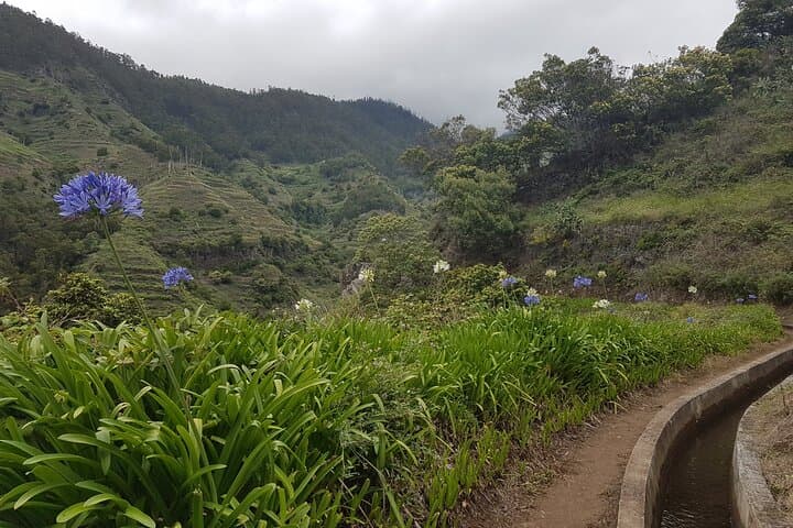 Levada Nova Tabua Half-Day Walk — Guided Levada Hike in Madeira