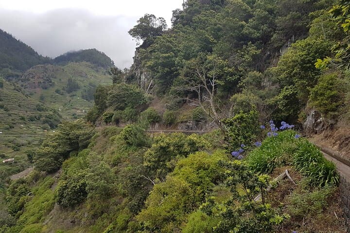 Levada Nova Tabua Half-Day Walk — Guided Levada Hike in Madeira photo 6