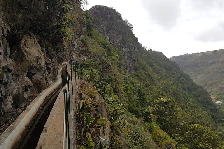 Levada Nova Tabua Half-Day Walk — Guided Levada Hike in Madeira photo 2