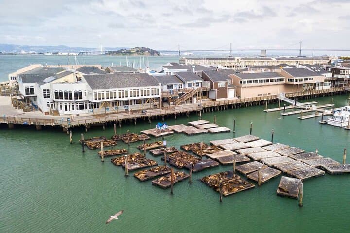 Private Walking Tour: Fisherman's Wharf & Ghirardelli Square, San Francisco photo 3