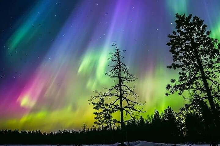 Ice Floating on a Forest Lake Under the Aurora Borealis in Rovaniemi photo 3