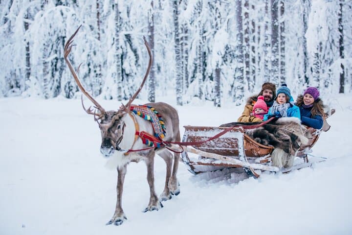 Reindeer Sleigh Ride & Farm Experience in Rovaniemi photo 2