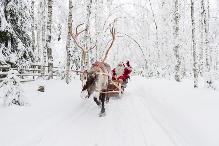 Reindeer Sleigh Ride & Farm Experience in Rovaniemi