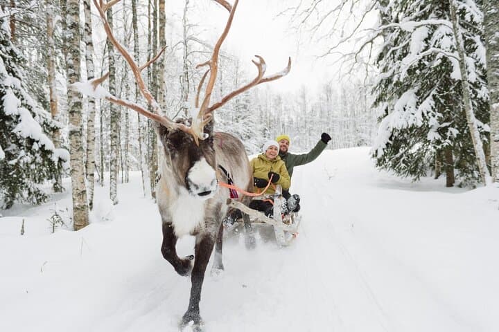 Reindeer Sleigh Ride & Farm Experience in Rovaniemi photo 6