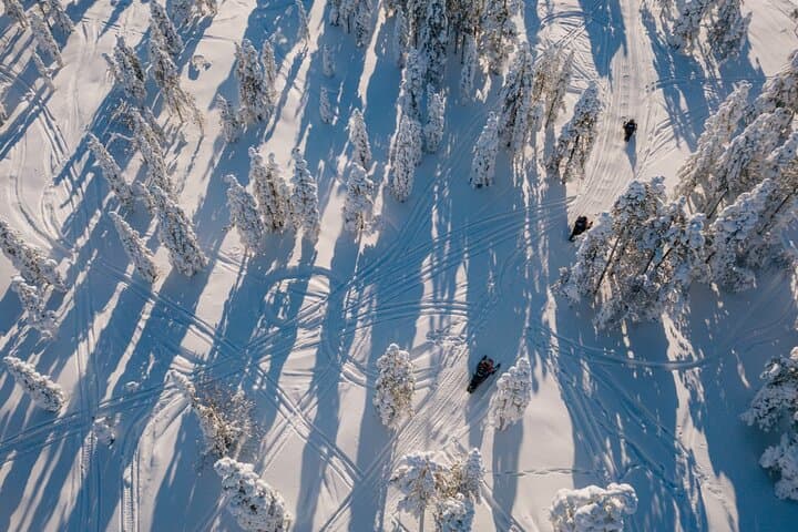 Rovaniemi Snowmobile, Reindeer & Husky Day Tour — Arctic Tracks and Animal Encounters photo 4