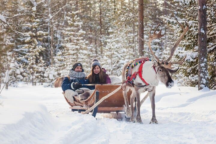 Rovaniemi Snowmobile, Reindeer & Husky Day Tour — Arctic Tracks and Animal Encounters photo 6