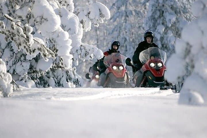 Snowmobile Safari in Rovaniemi: Lappish Forest Arctic Adventure