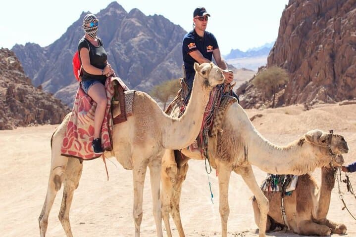 Hurghada Super Desert Safari: ATV, Buggy & Jeep with Bedouin BBQ photo 3