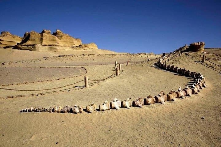 El Fayoum escape from Cairo: Lake Qarun, Wadi El-Rayan waterfalls & Fayoum museum photo 5