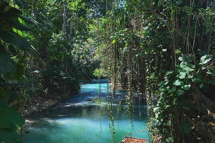Martha Brae Bamboo Rafting and Blue Hole Private Day Tour from Montego Bay photo 3