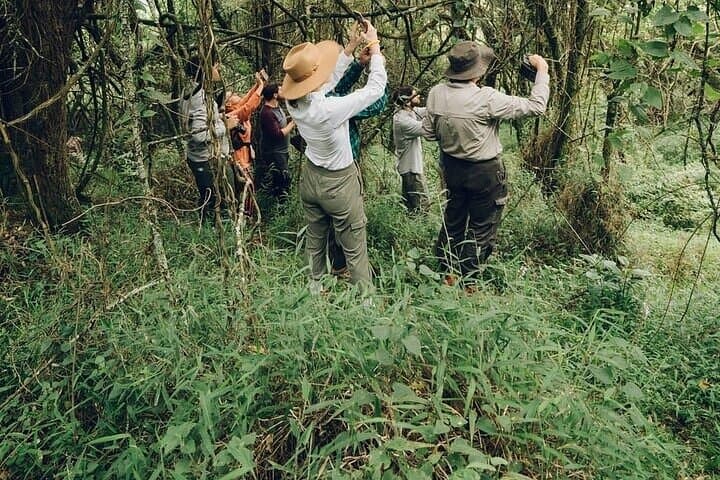 3-Day Gorilla Trekking Bwindi and Lake Bunyonyi Safari, Uganda photo 4