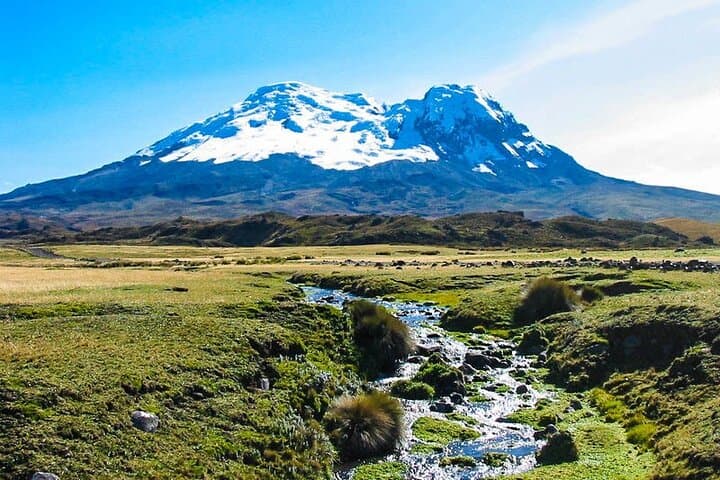 Antisana Full-Day Birdwatching Tour — Condors, Hummingbirds & High-Andean Lagoons photo 2