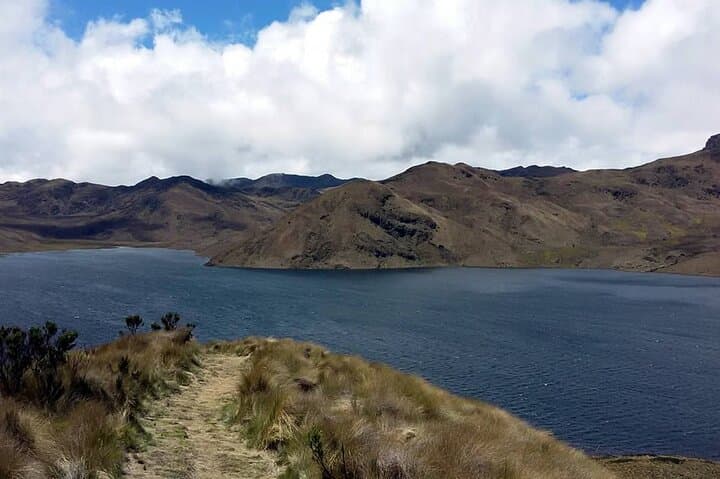 Antisana Full-Day Birdwatching Tour — Condors, Hummingbirds & High-Andean Lagoons photo 3