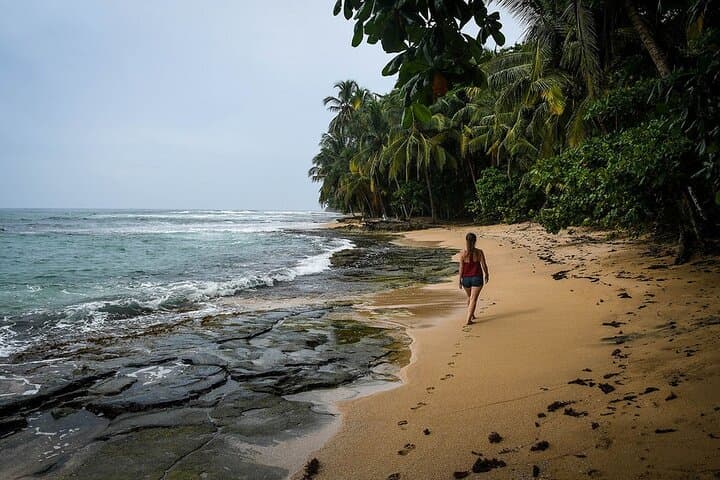Puerto Viejo to San José Shared Shuttle — Practical Guide for Caribbean Transfers photo 4