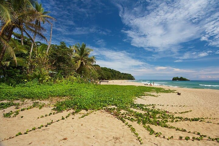 Puerto Viejo to San José Shared Shuttle — Practical Guide for Caribbean Transfers photo 5