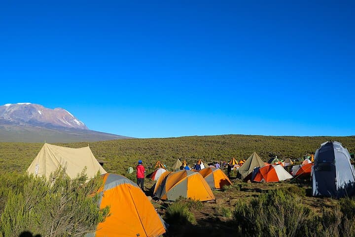 Shira Plateau Day Hike on Mount Kilimanjaro: Full-Day Guided Trek from Moshi photo 2