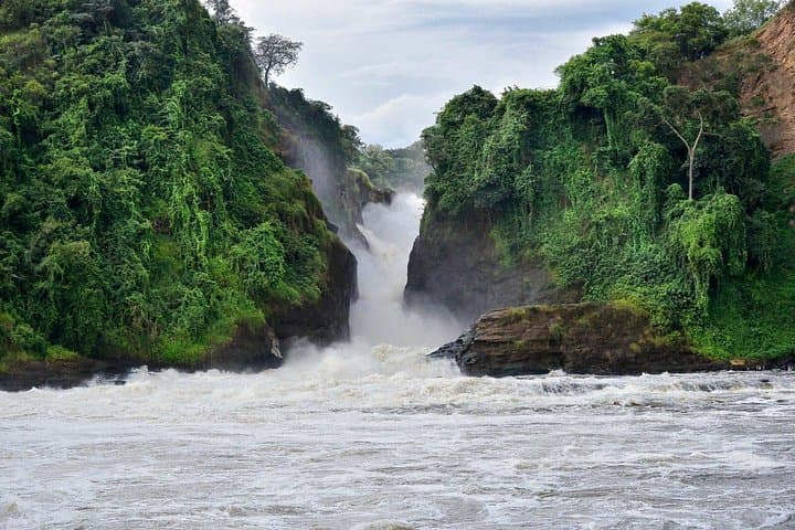 Murchison Falls Safari: Ziwa Rhino Tracking, Nile Boat Cruise & Hike to the Falls photo 1