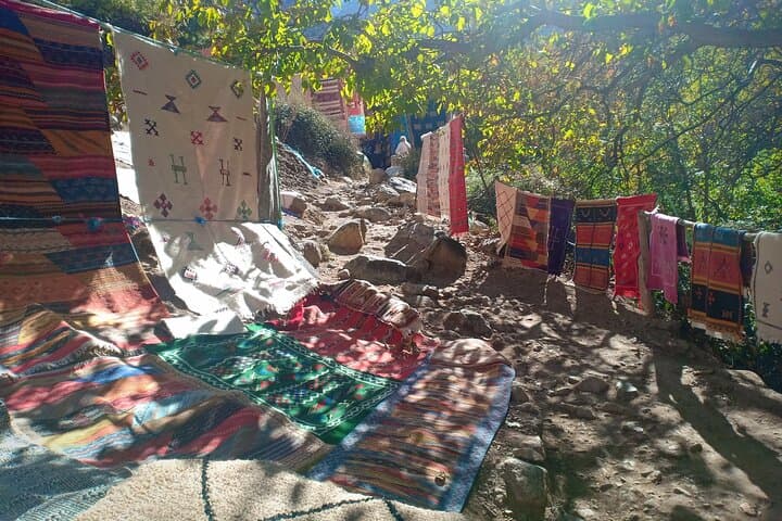 Ourika Valley & Atlas Mountains Day Trip from Marrakech — Setti Fatma Waterfalls & Berber Villages photo 3
