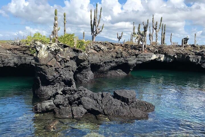 Cabo Rosa Tunnels Snorkel: Isabela Island Galápagos Wildlife Adventure photo 2