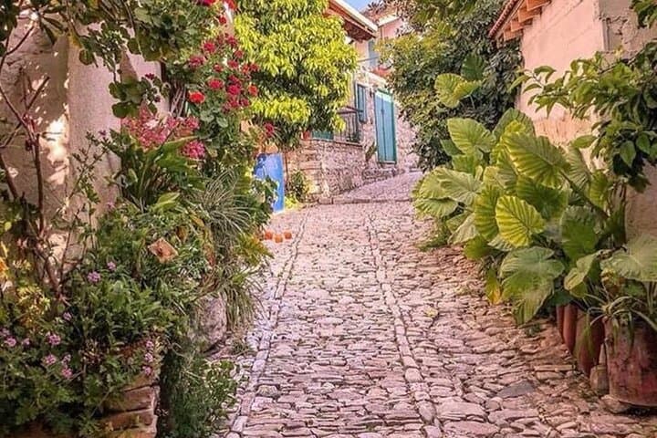 Troodos Mountains Cultural Day Tour: Halloumi, Wine, Waterfalls & Villages
