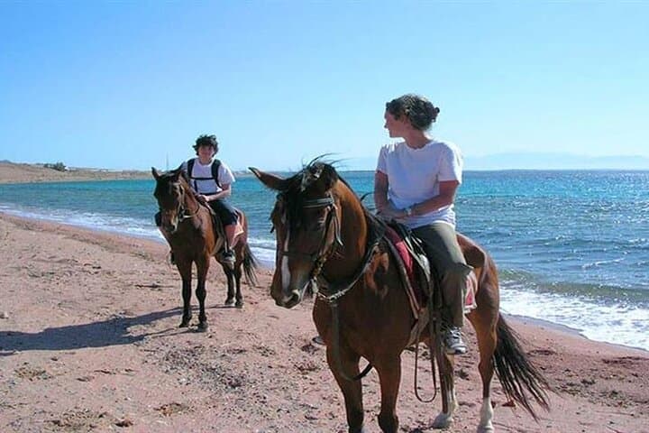 Private Transfer and Horse Safari in Sharm El Sheikh — Desert Ride from Your Hotel photo 2