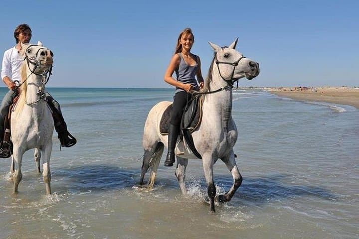 Sharm El Sheikh Horseback Safari — 2-Hour Desert & Beach Ride with Hotel Pickup photo 1