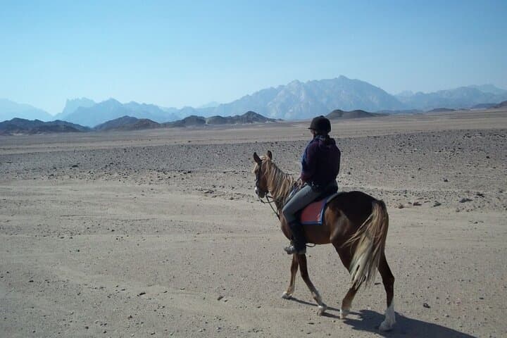 Private Transfer and Horse Safari in Sharm El Sheikh — Desert Ride from Your Hotel photo 3