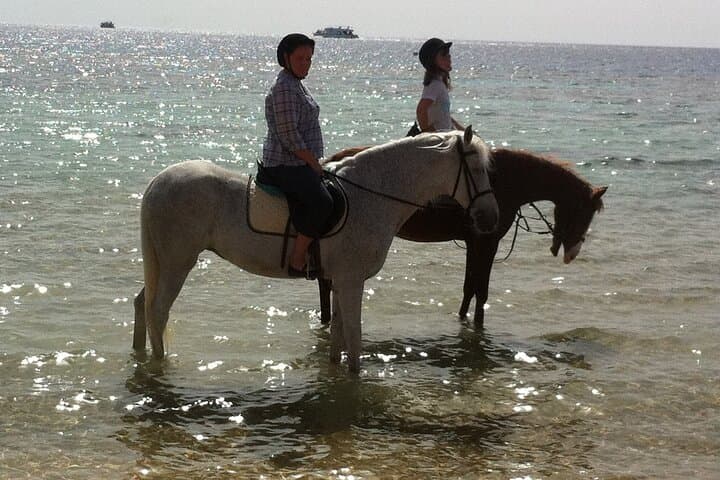 Sharm El Sheikh Horseback Safari — 2-Hour Desert & Beach Ride with Hotel Pickup photo 4