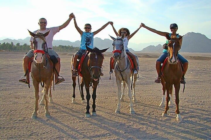 Private Transfer and Horse Safari in Sharm El Sheikh — Desert Ride from Your Hotel photo 4