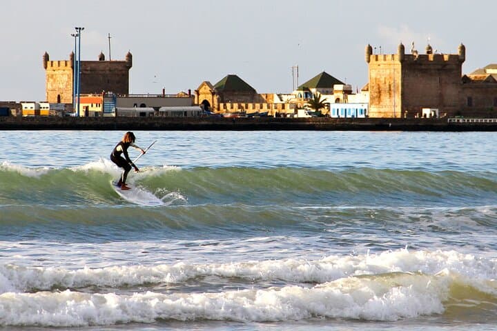 Day Trip from Marrakech to Essaouira — Mogador Coastal Walk, Argan Goats & Medina Tour