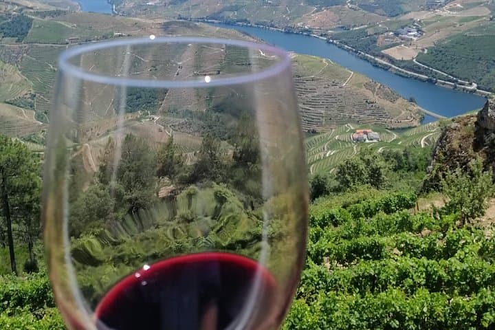 Private Douro Valley Wine Tour: Full-Day Alto Douro Experience with Boat Cruise photo 3