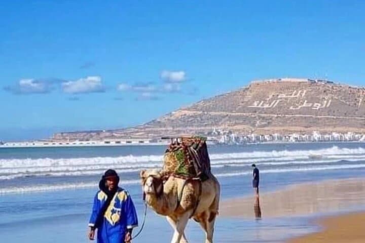 Camel Riding Agadir: Eucalyptus Trails & Souss Massa Wildlife Experience photo 5