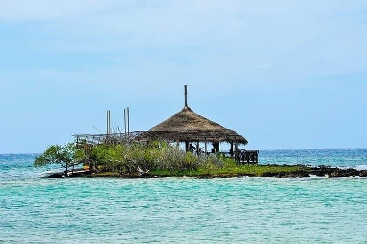 Explore Jamaica's Hidden Treasures: A Private Day Trip to Negril photo 5