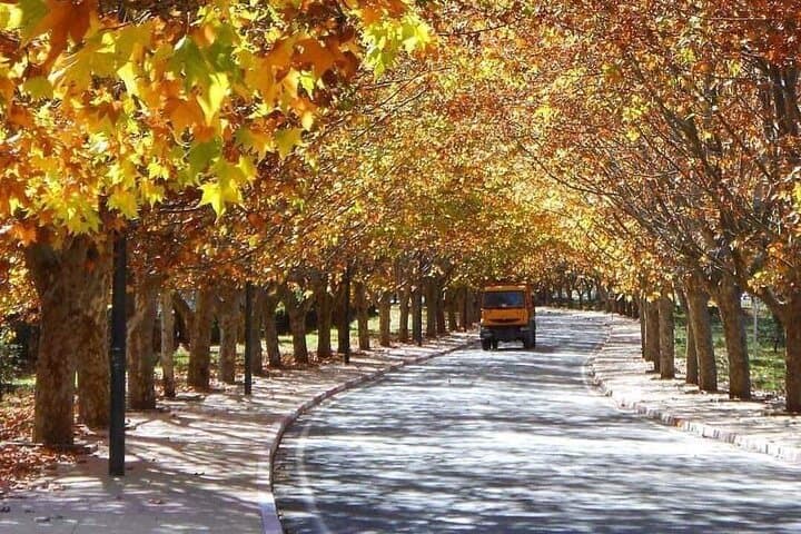 Middle Atlas Day Tour — Ifrane, Imouzzer & Azrou Cedar Forests photo 2