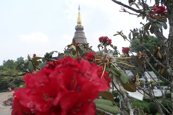 Doi Inthanon One-Day Trek: Kew Mae Pan Trail and Highest Peak Views photo 5